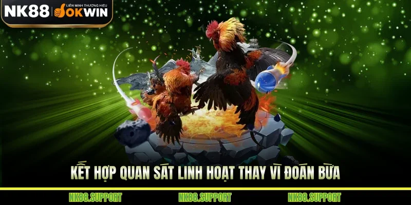 Kết hợp quan sát linh hoạt thay vì đoán bừa