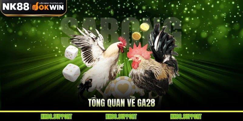Tổng quan về Ga28