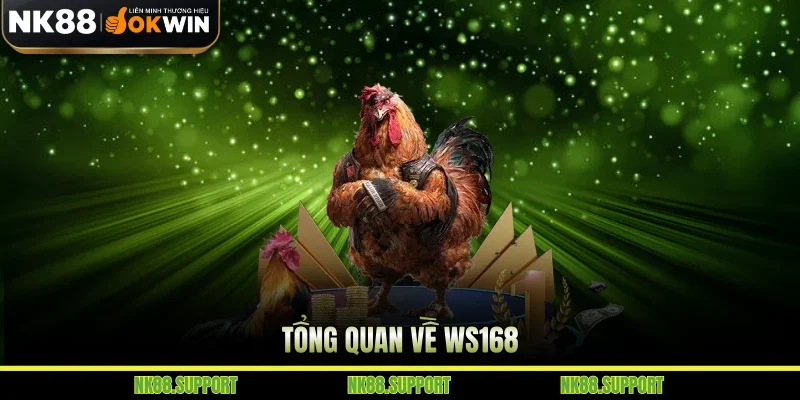 Tổng quan về WS168